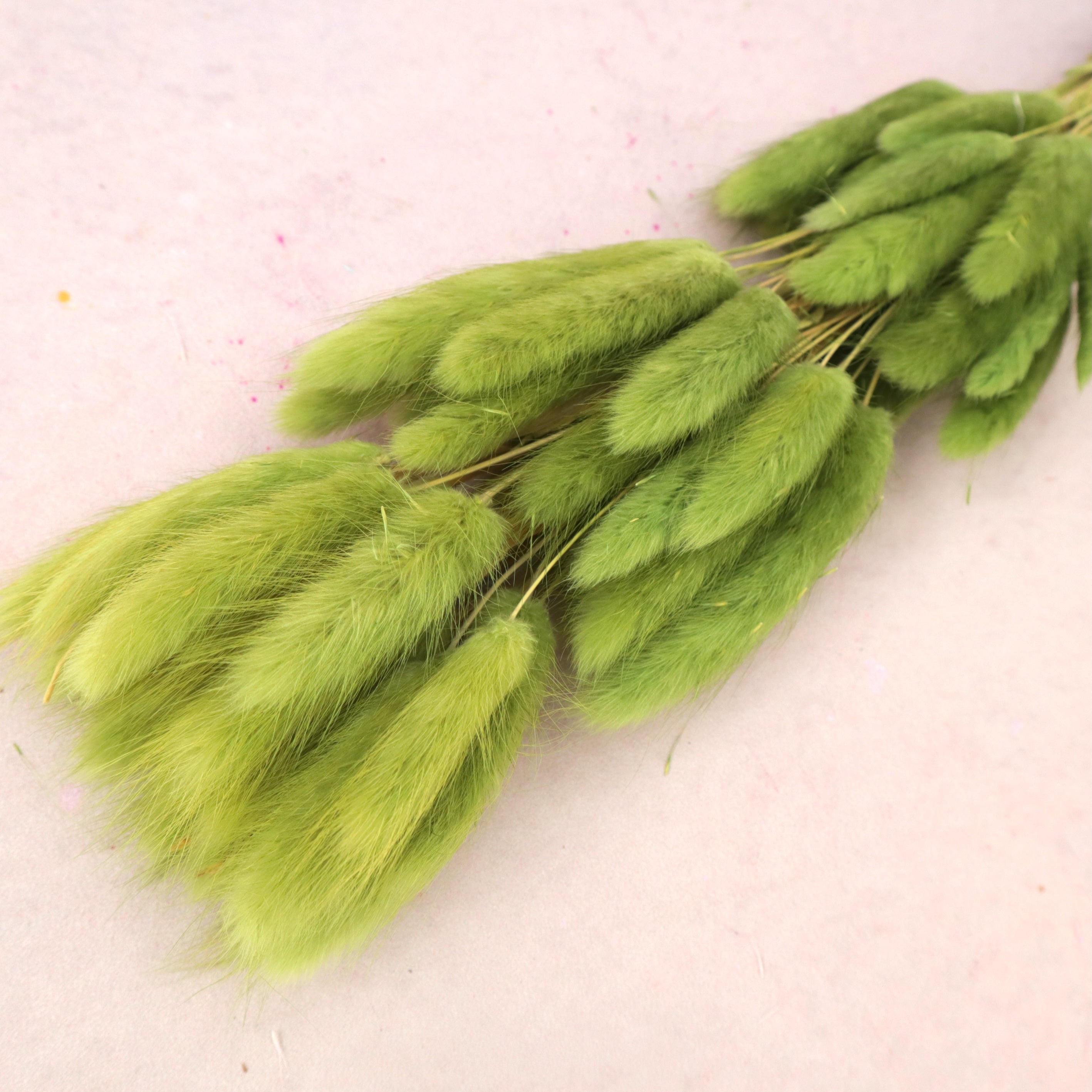 Bunny Tails Olive Green
