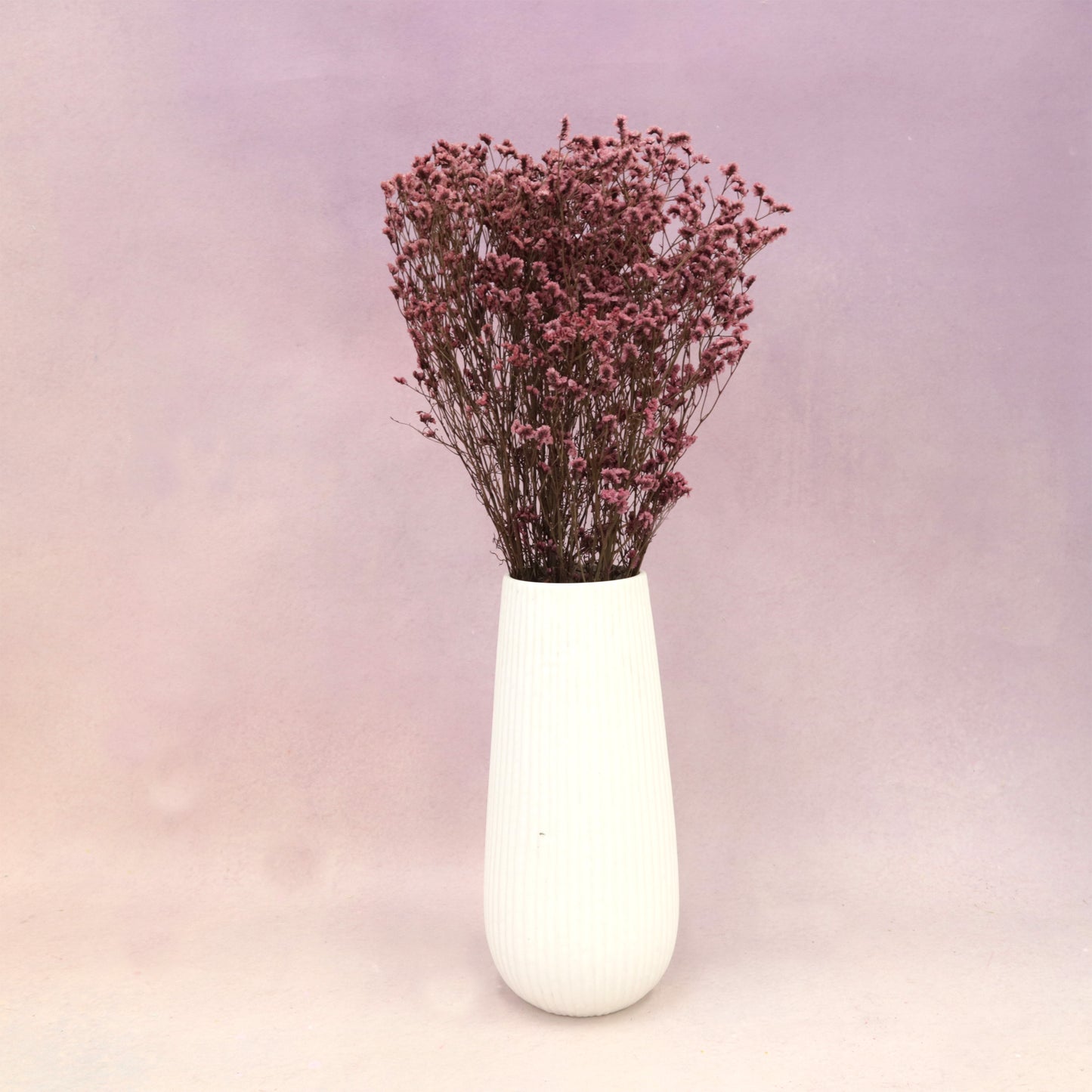 Statice Limonium Sinuatum Raspberry