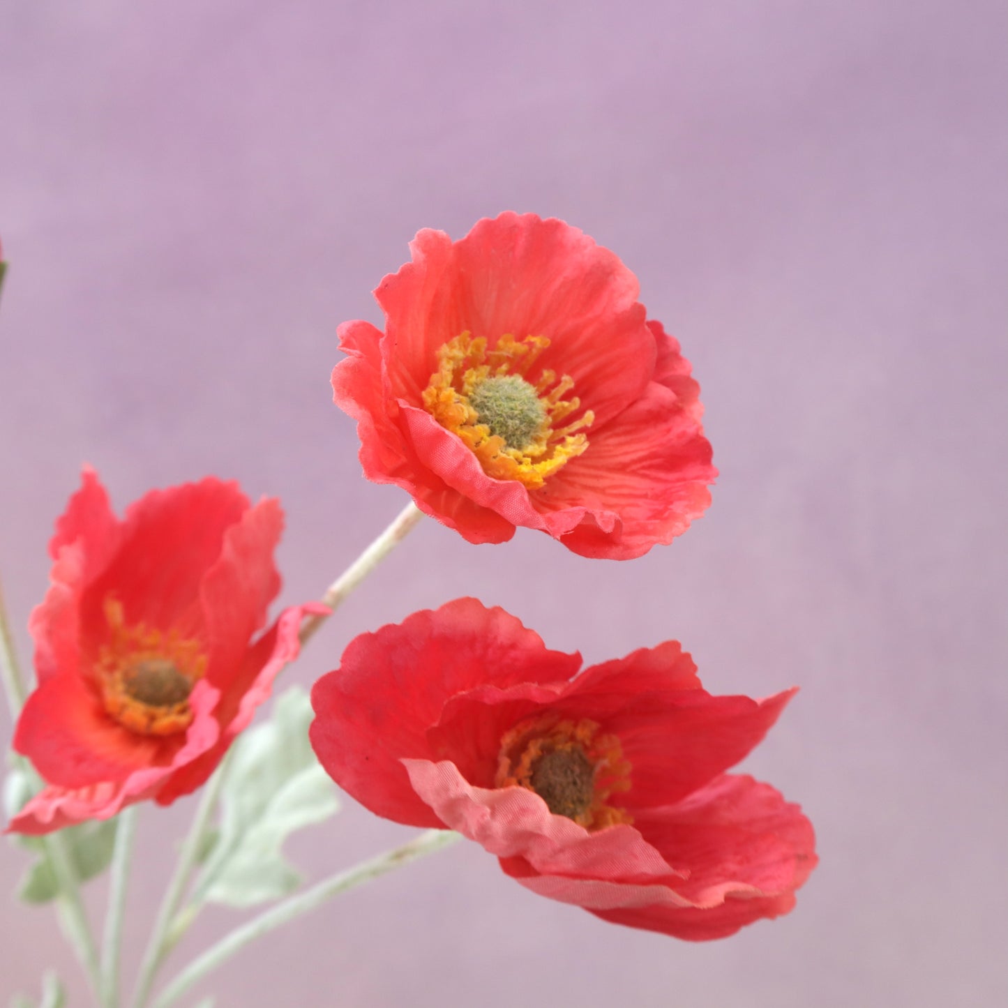 Artificial Real Touch Poppy Red