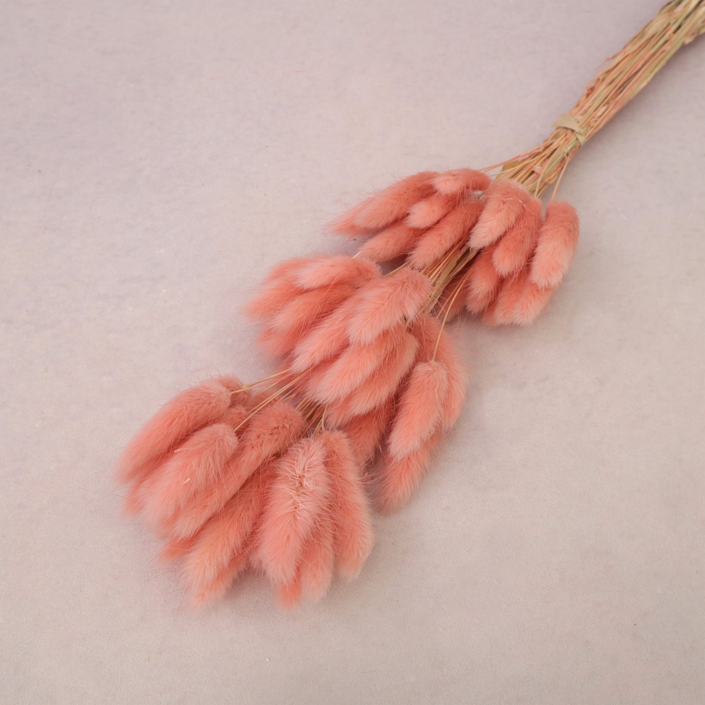 Bunny Tails Salmon Pink