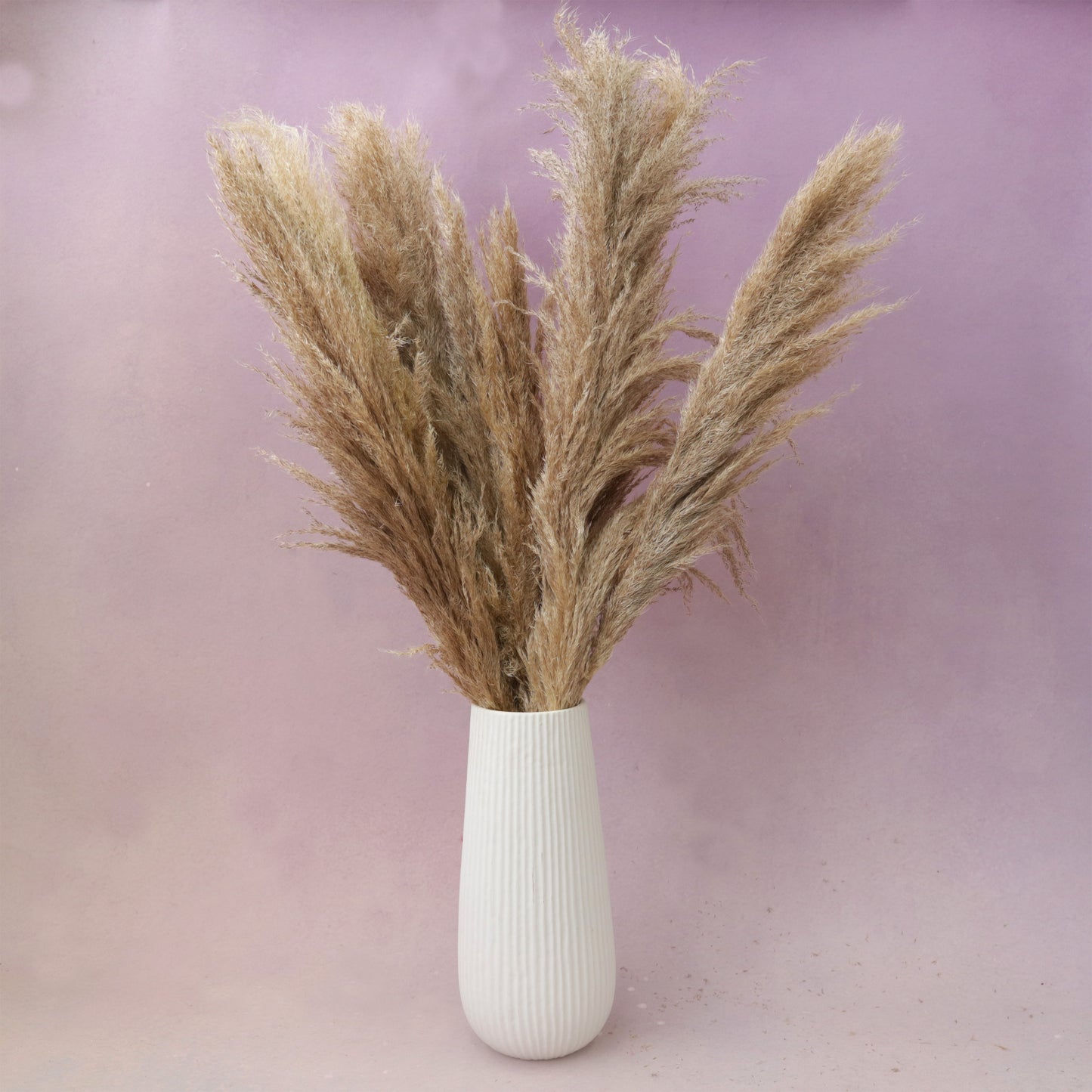 Male Pampas Grass Natural