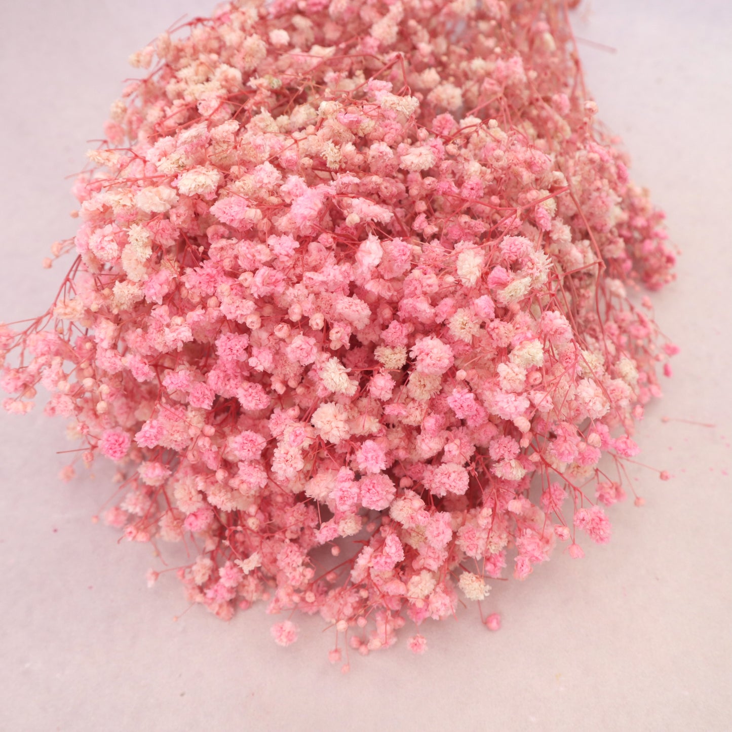 Baby's Breath Soft Pink