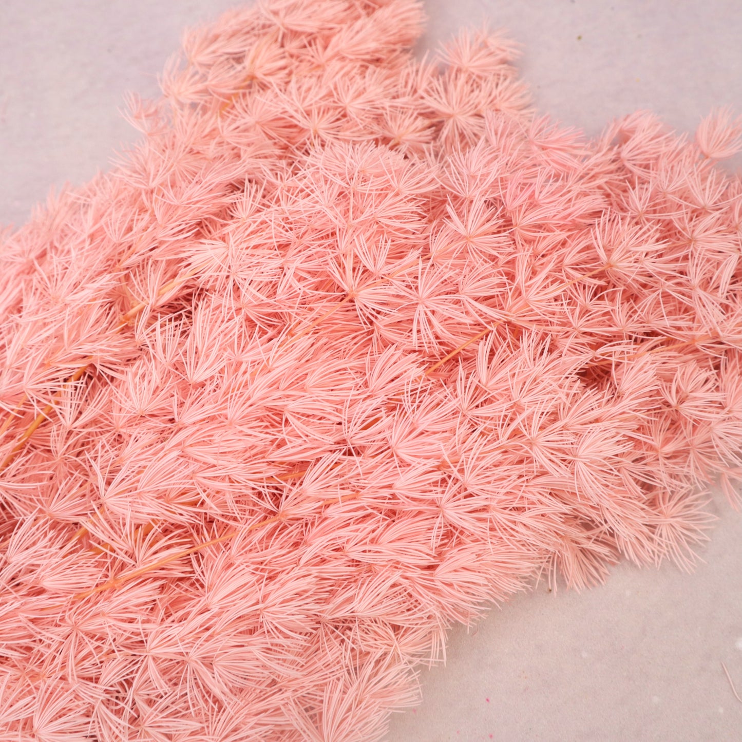 Ming Fern Coral Pink