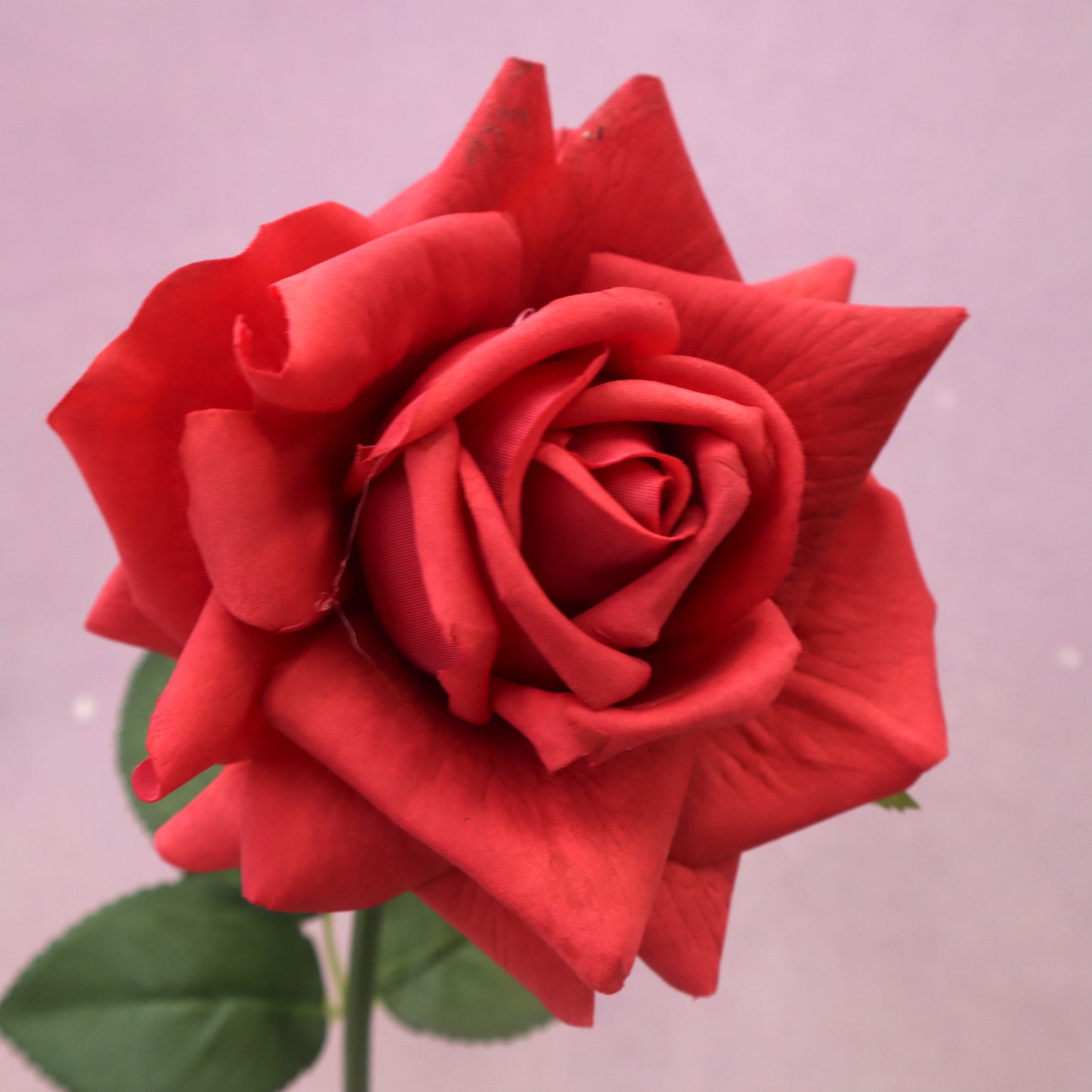 Artificial Real Touch Rose Red