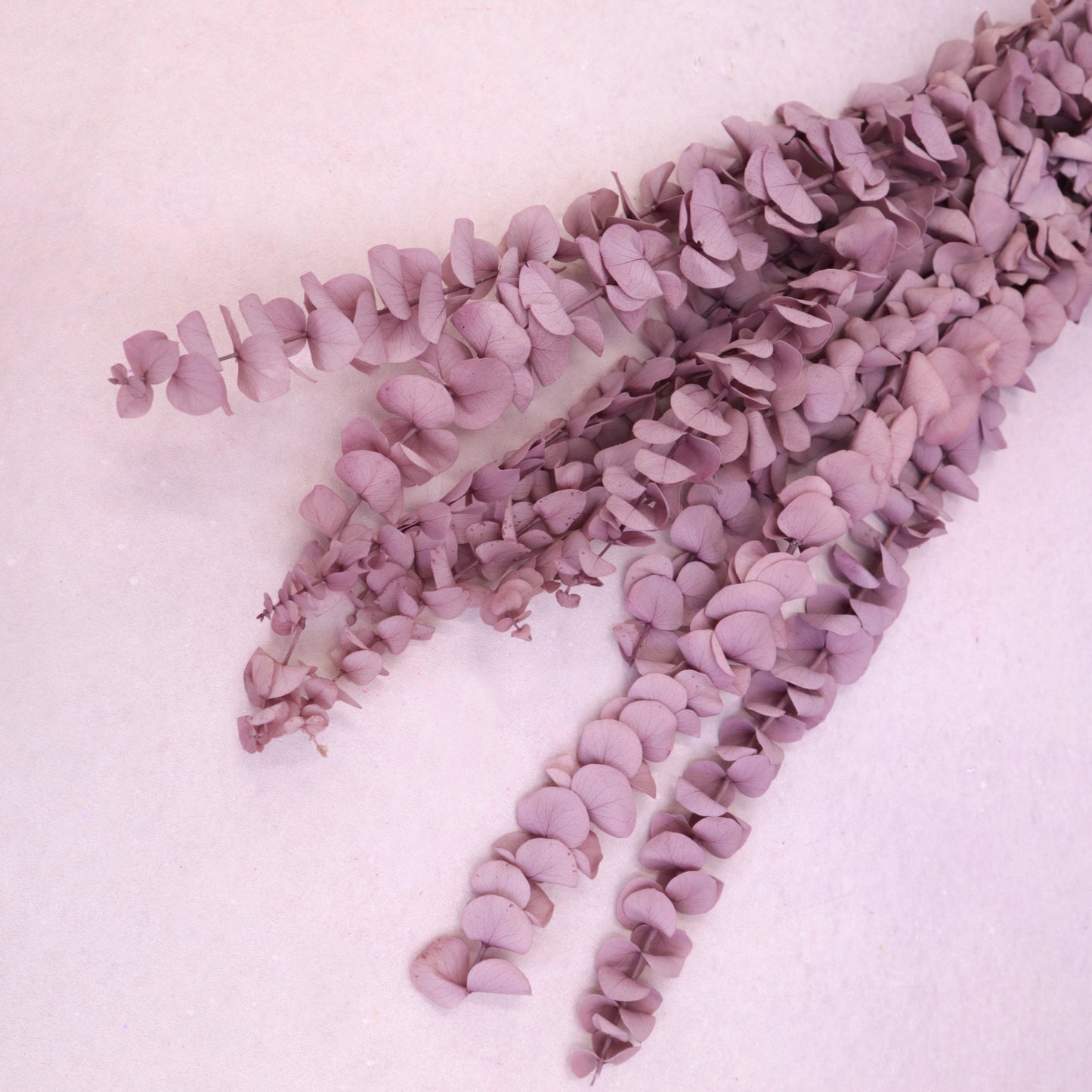 Dollar Gum Heather Purple