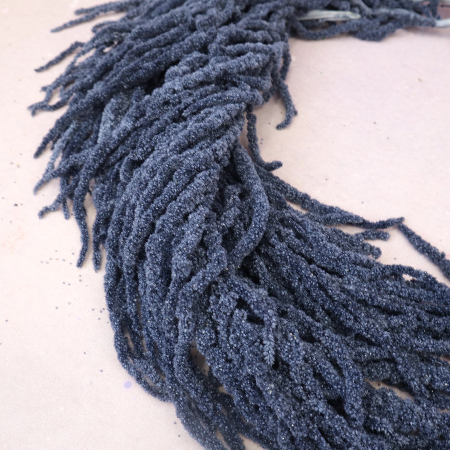 Amaranthus Dusty Blue