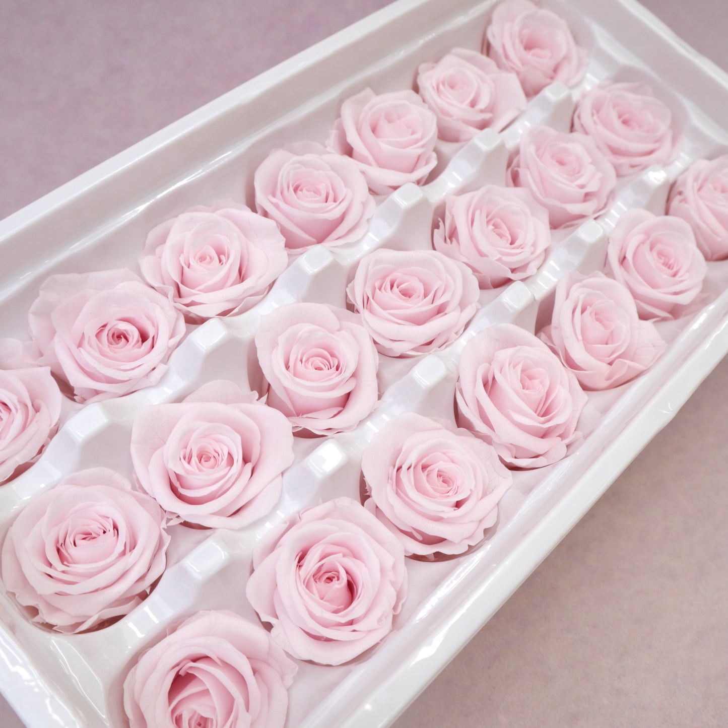 Rose Baby Pink 21 Heads