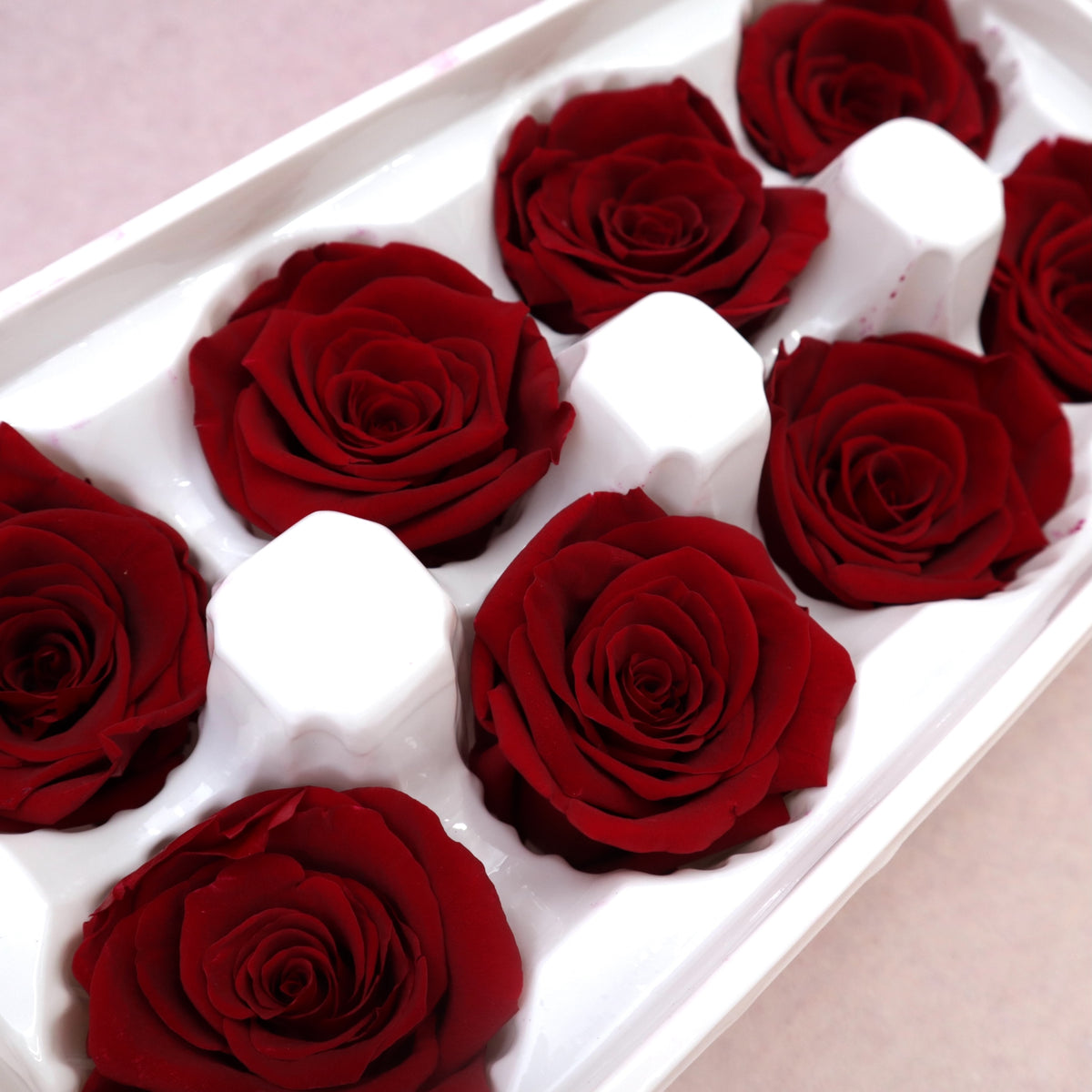 Rose Deep Red 8 Heads