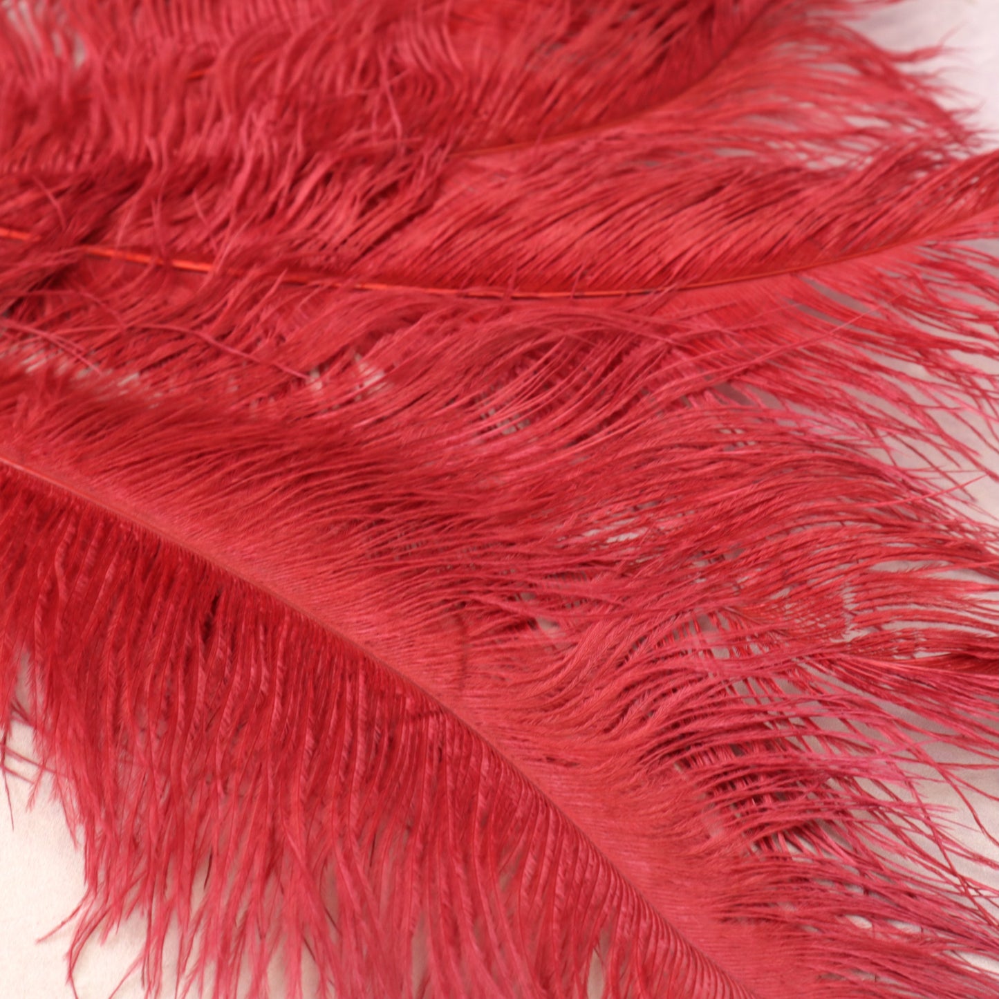5 pcs Ostrich Feathers Red