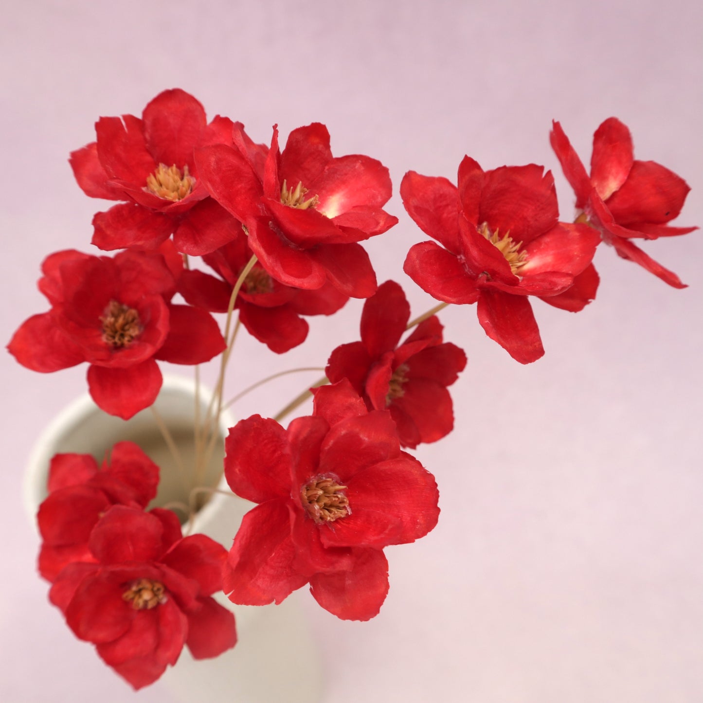 Sola Anemone Flower Red