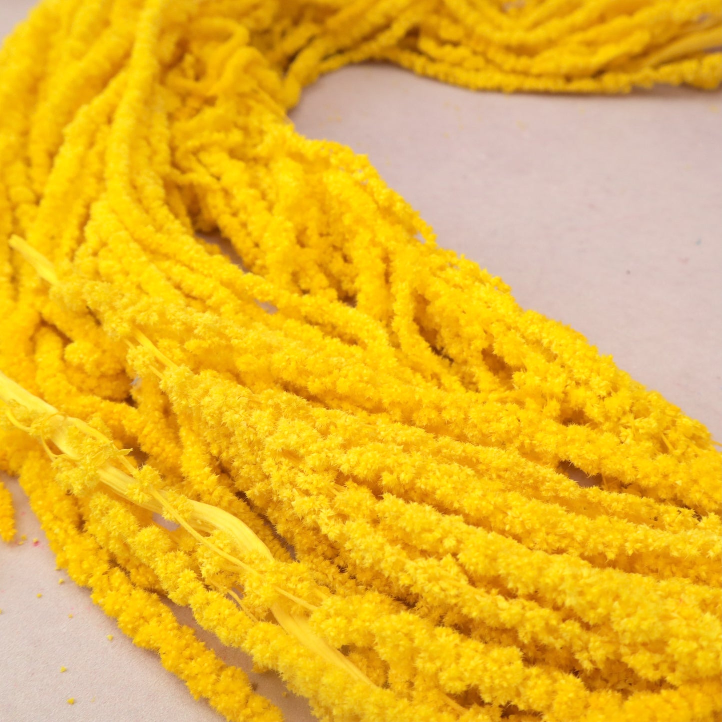Amaranthus Yellow