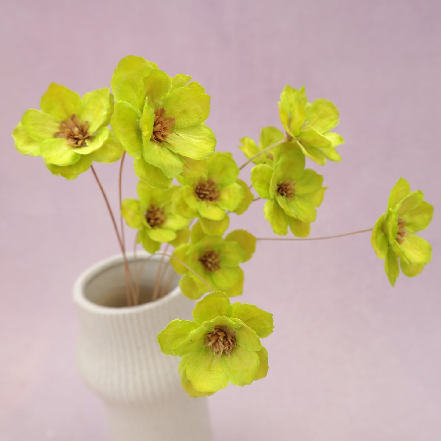 Sola Anemone Flower Lime Green