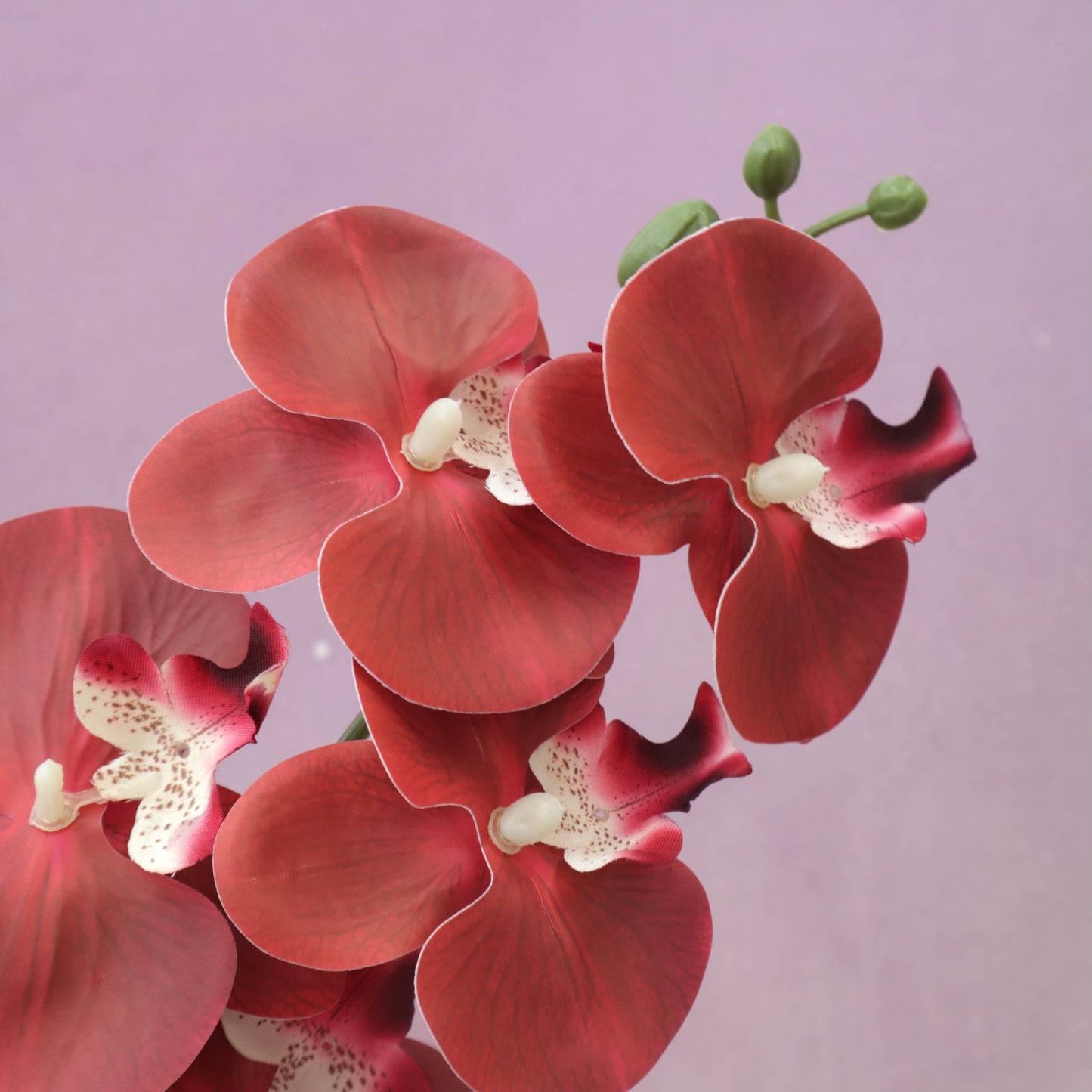 Artificial Orchid Red
