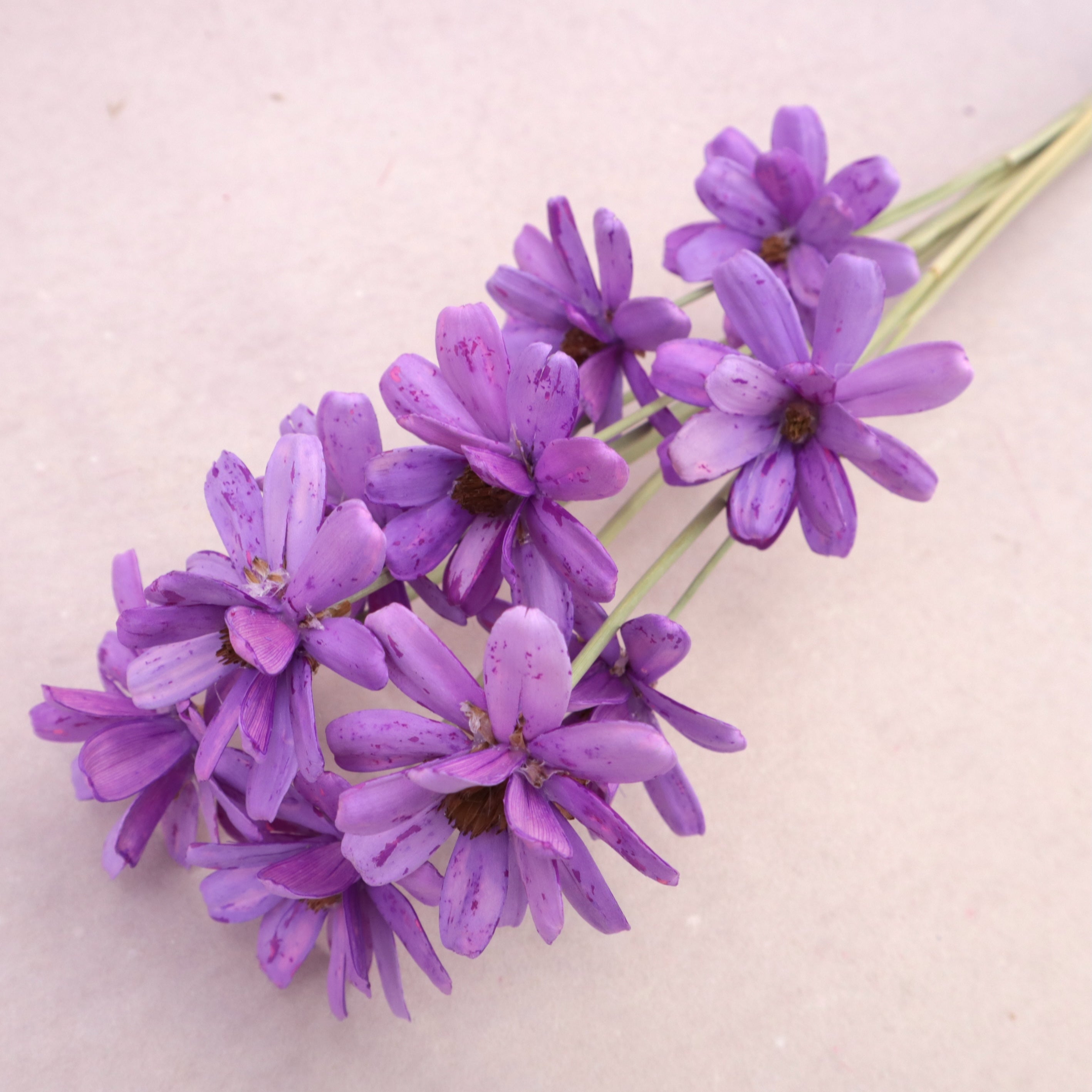 Handmade Daisy Violet