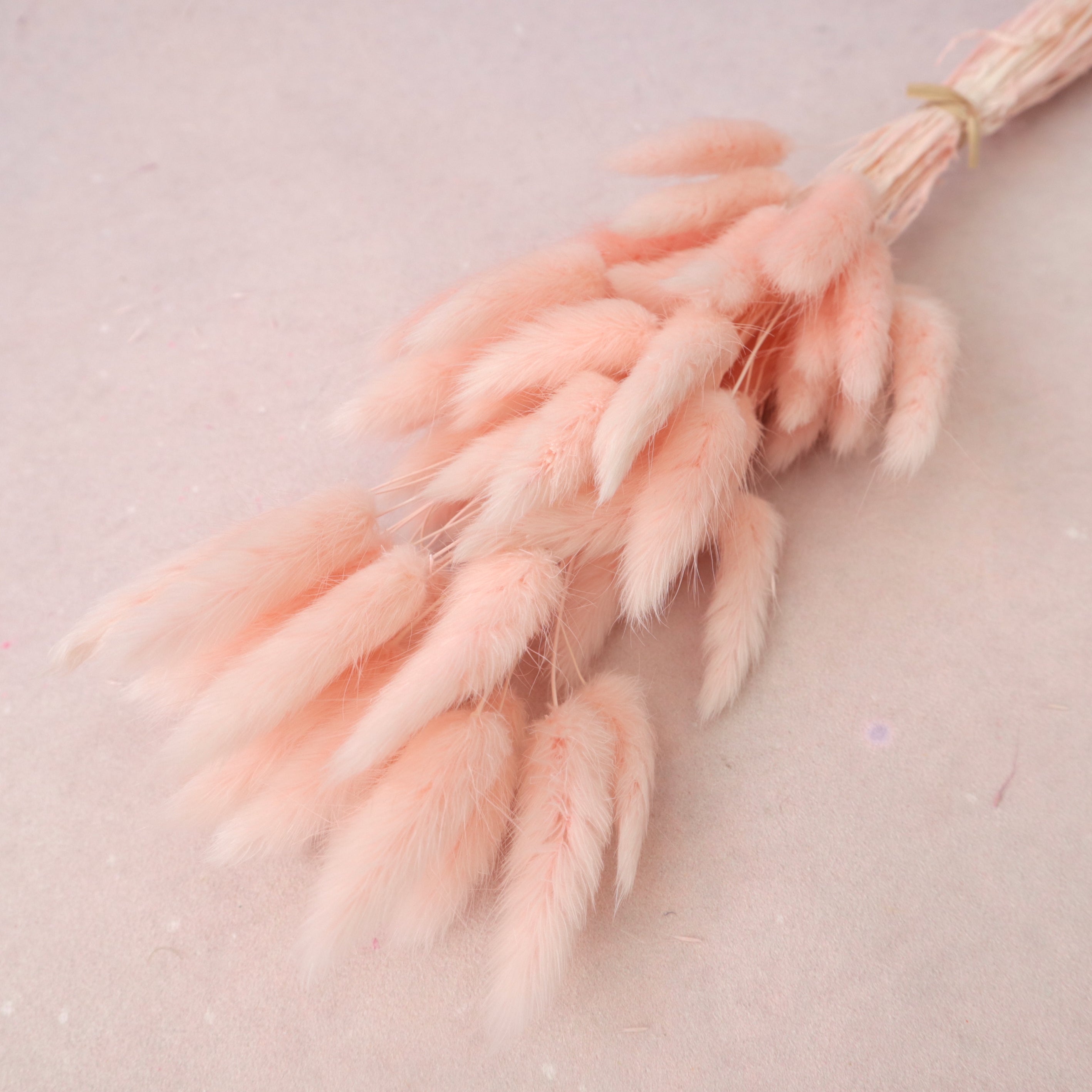 Bunny Tails Pastel Pink