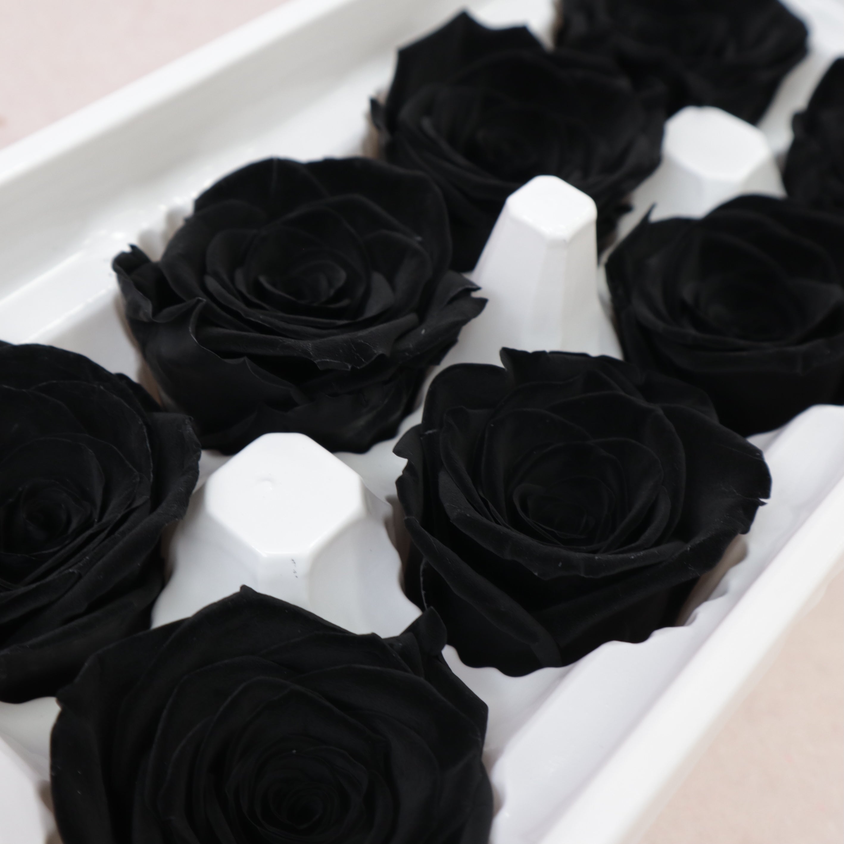 Rose Black 8 heads