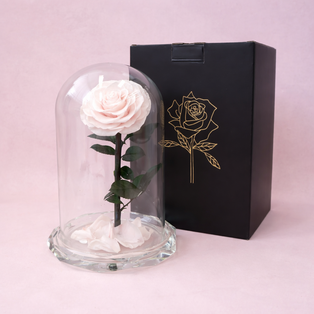 Rose Glass Dome Single Baby Pink