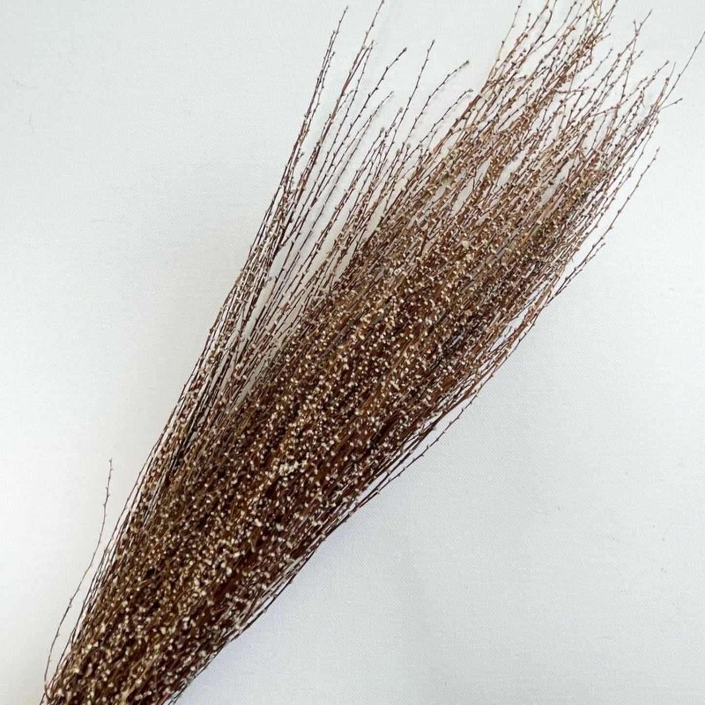 Snow Twig White