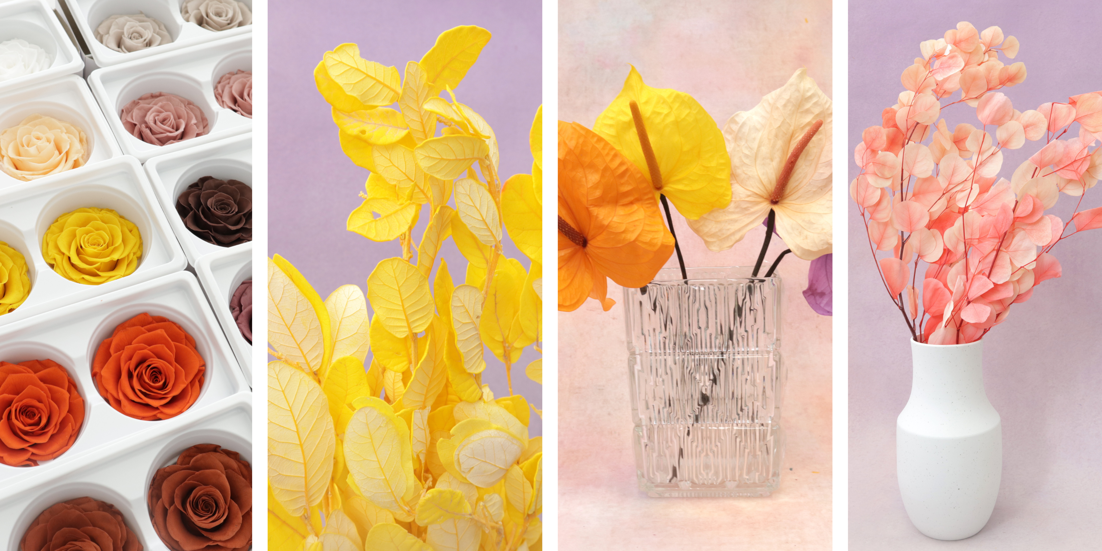 The Timeless Beauty of Preserved Flowers: Why more florists and event planners in Australia are choosing them