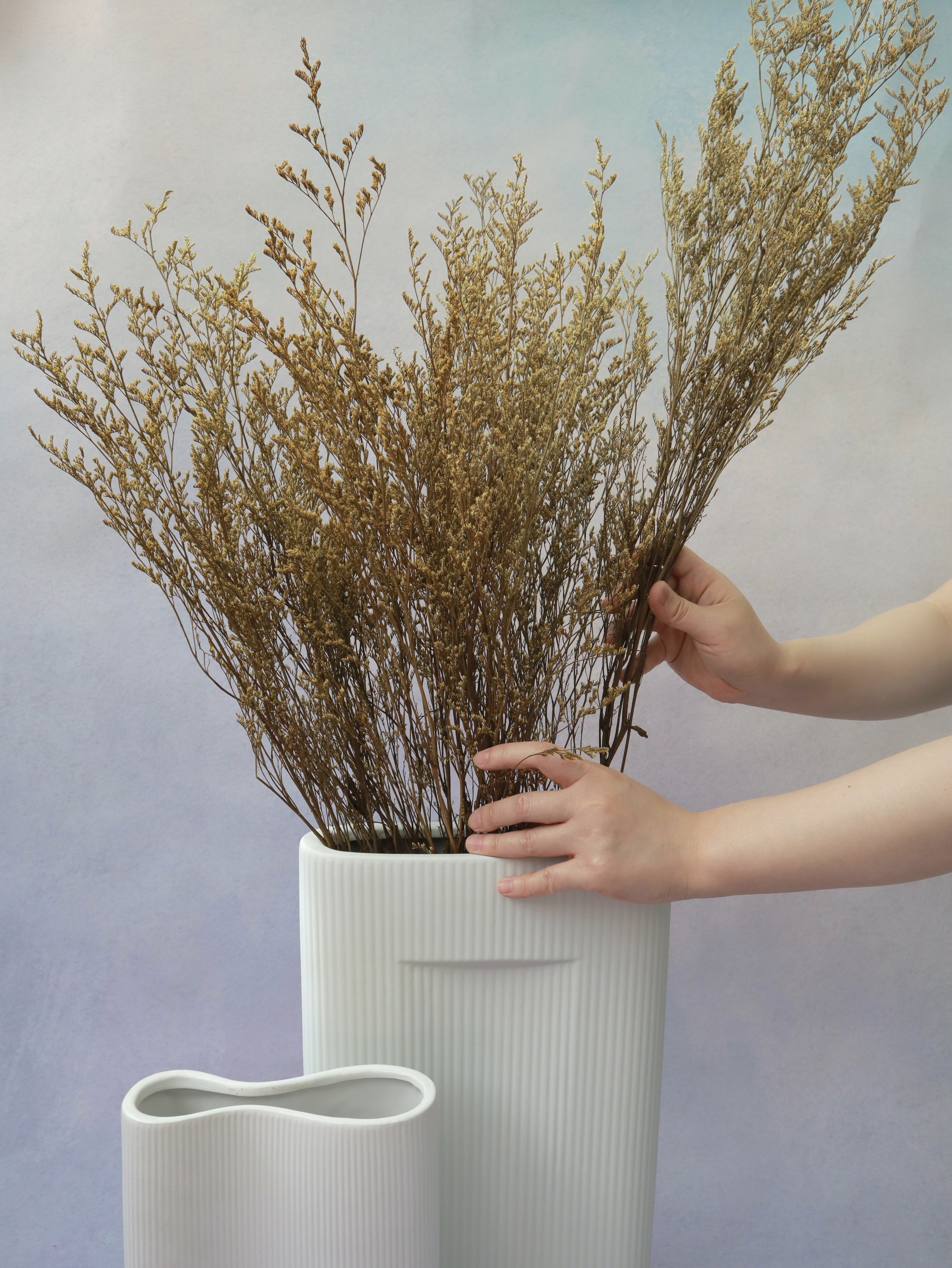 How to Store and Care for Preserved Flowers