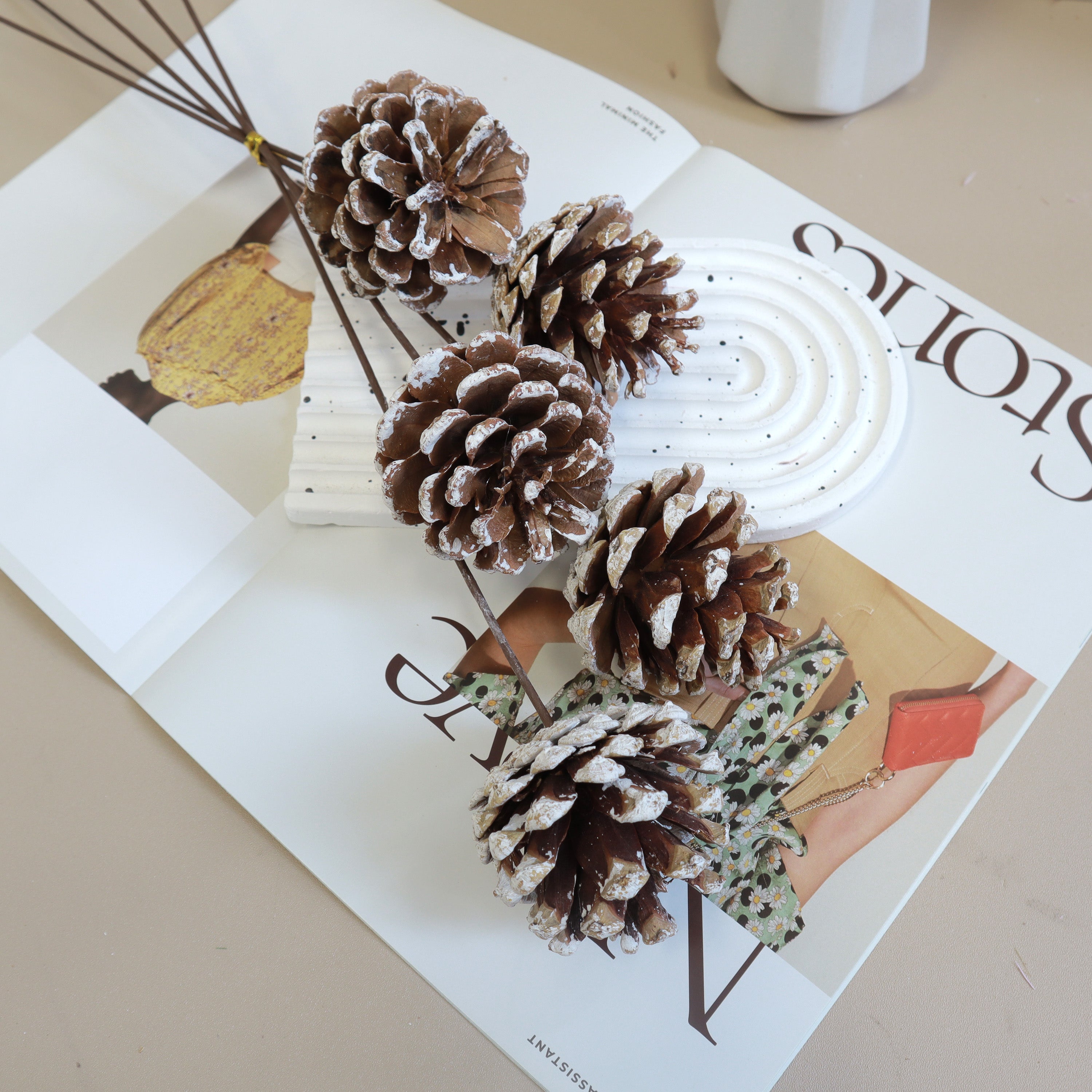 Pine Cone