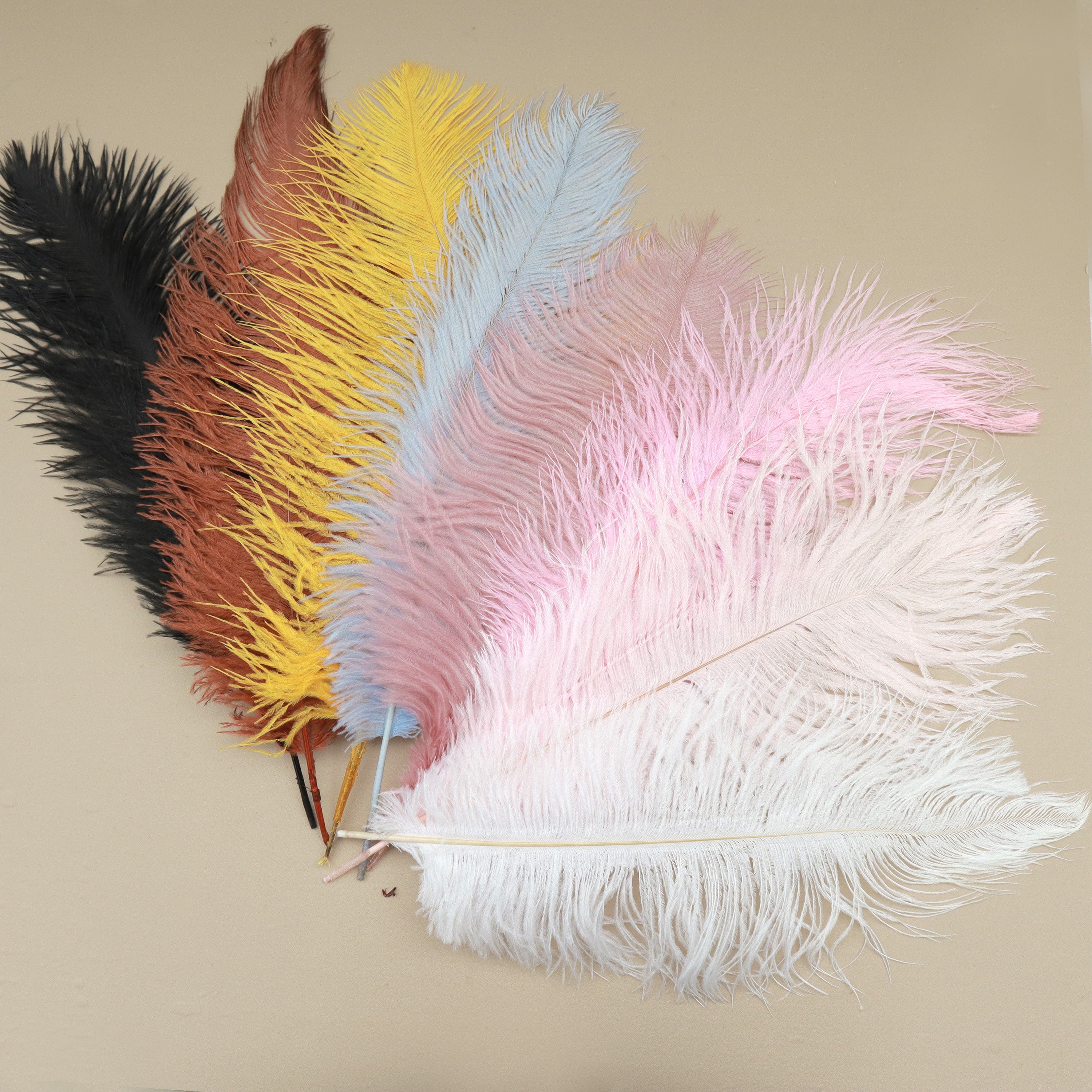 Feathers