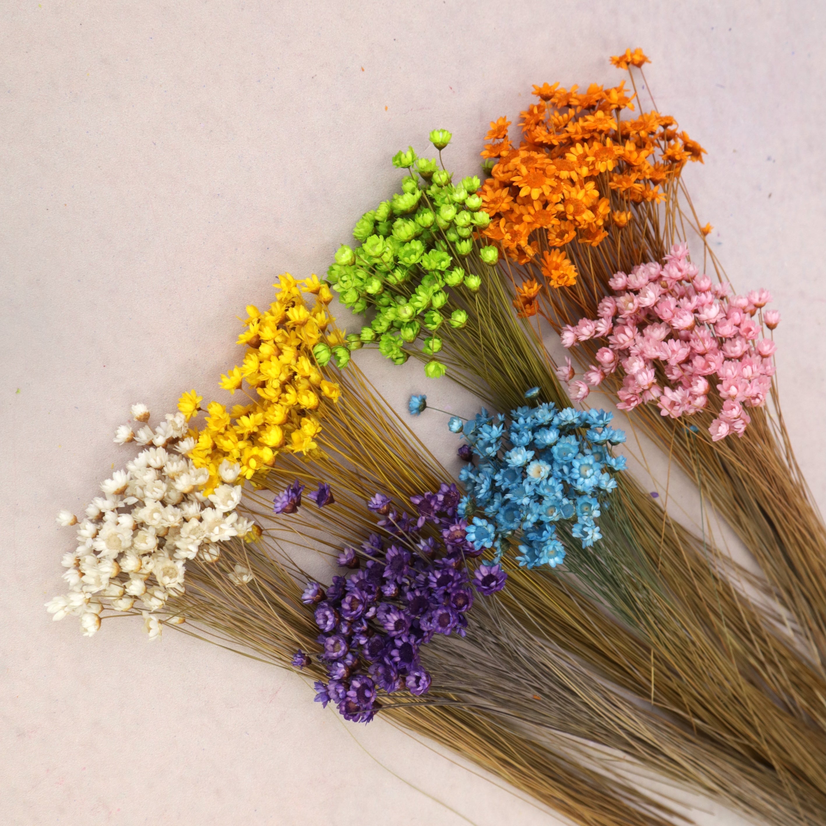 Star Flower