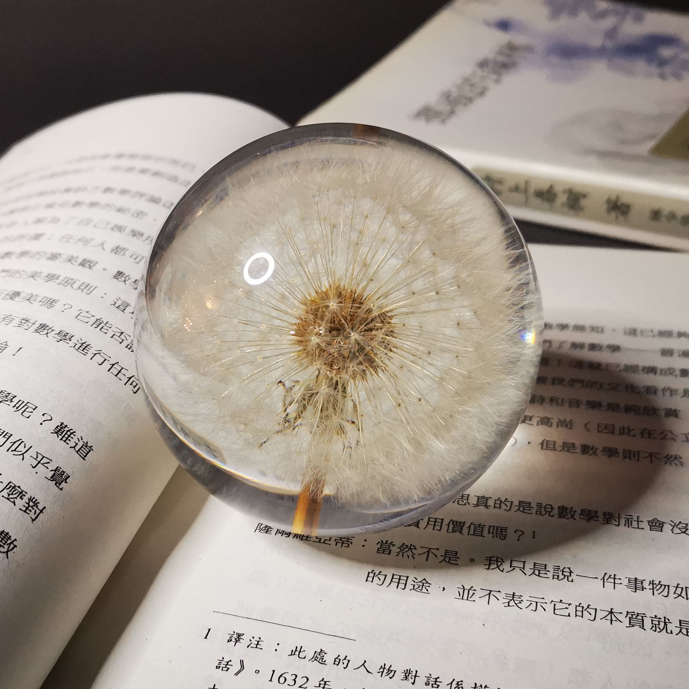 Dandelion