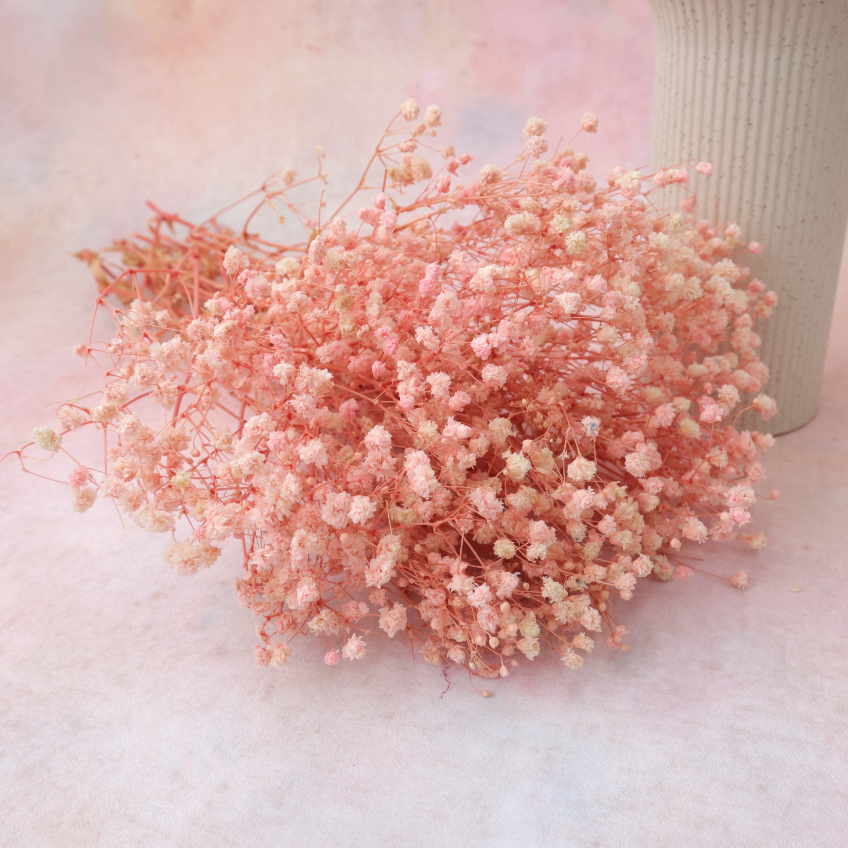 Baby's Breath