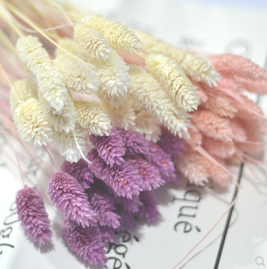 Gem Grass