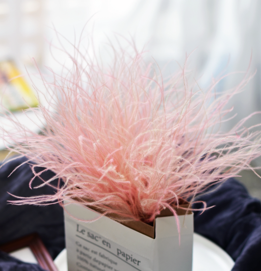 Feather Grass