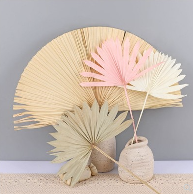 Palm Leaf