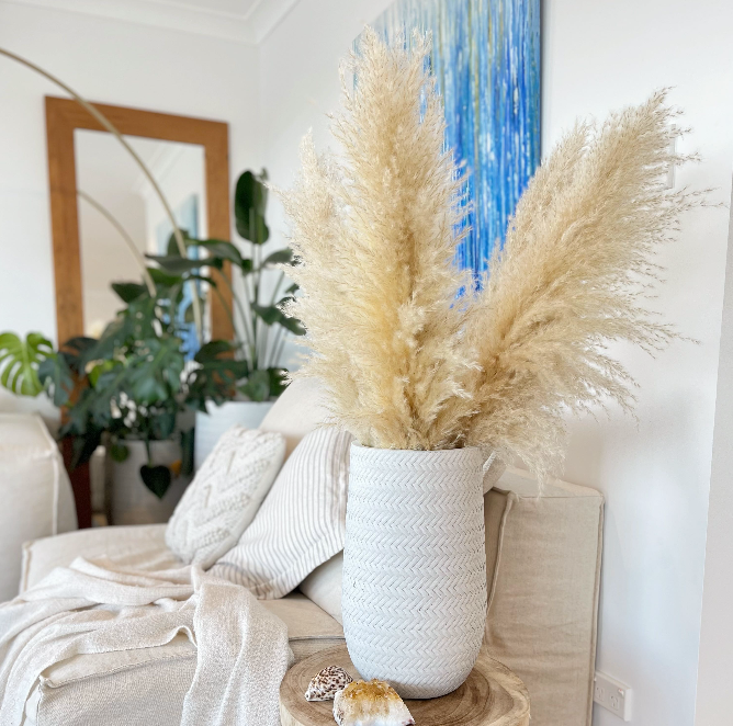 Pampas Grass