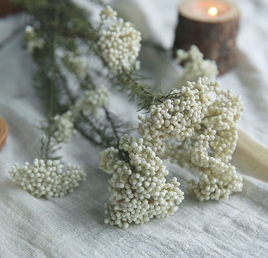Rice Flower