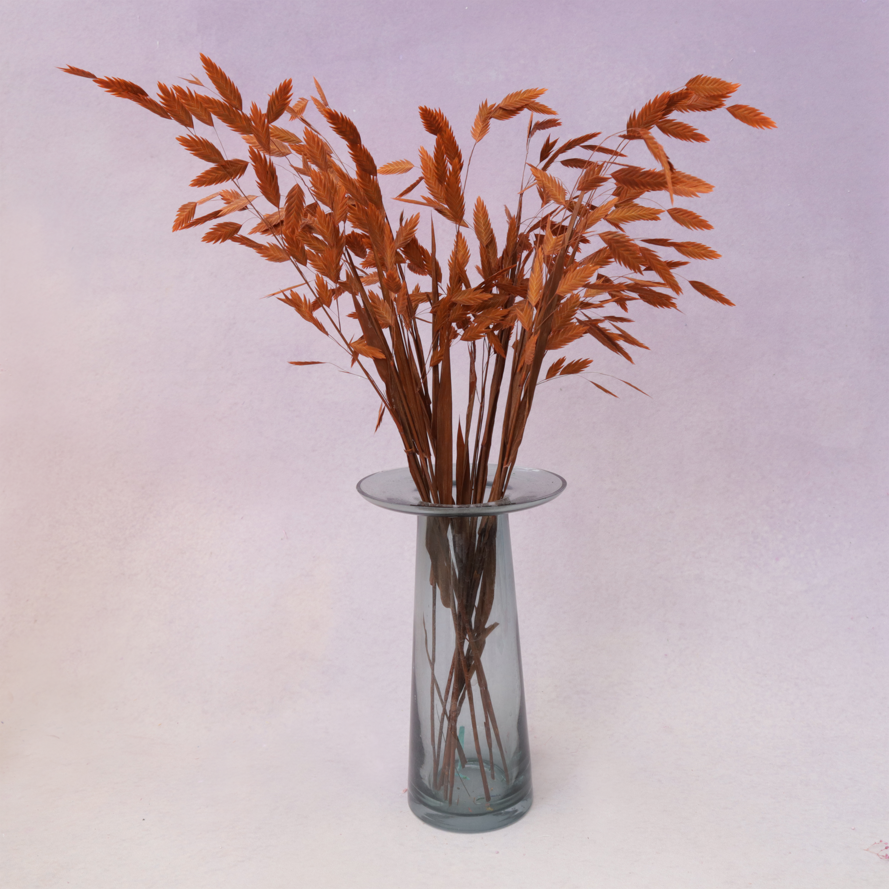 Sea Oat