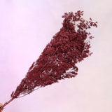 Ming Fern Burgundy
