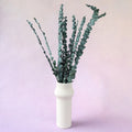 Dollar Gum Green Small (clearance)