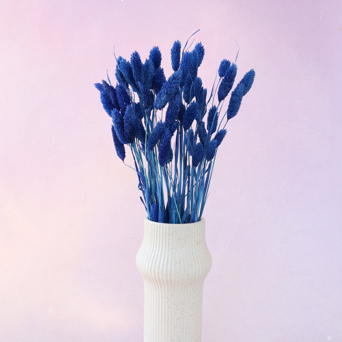 Gem Grass Royal Blue