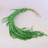 Amaranthus Matcha Green (Small)