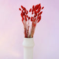 Gem Grass Red