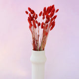 Gem Grass Red