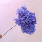Annabelle Hydrangea Dark Periwinkle