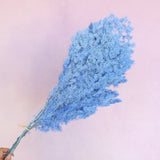 Ming Fern Sea Blue