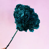 Hydrangea Bigleaf Teal Blue