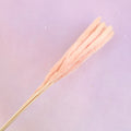 Fluffy Stick Coral Pink