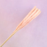 Fluffy Stick Coral Pink