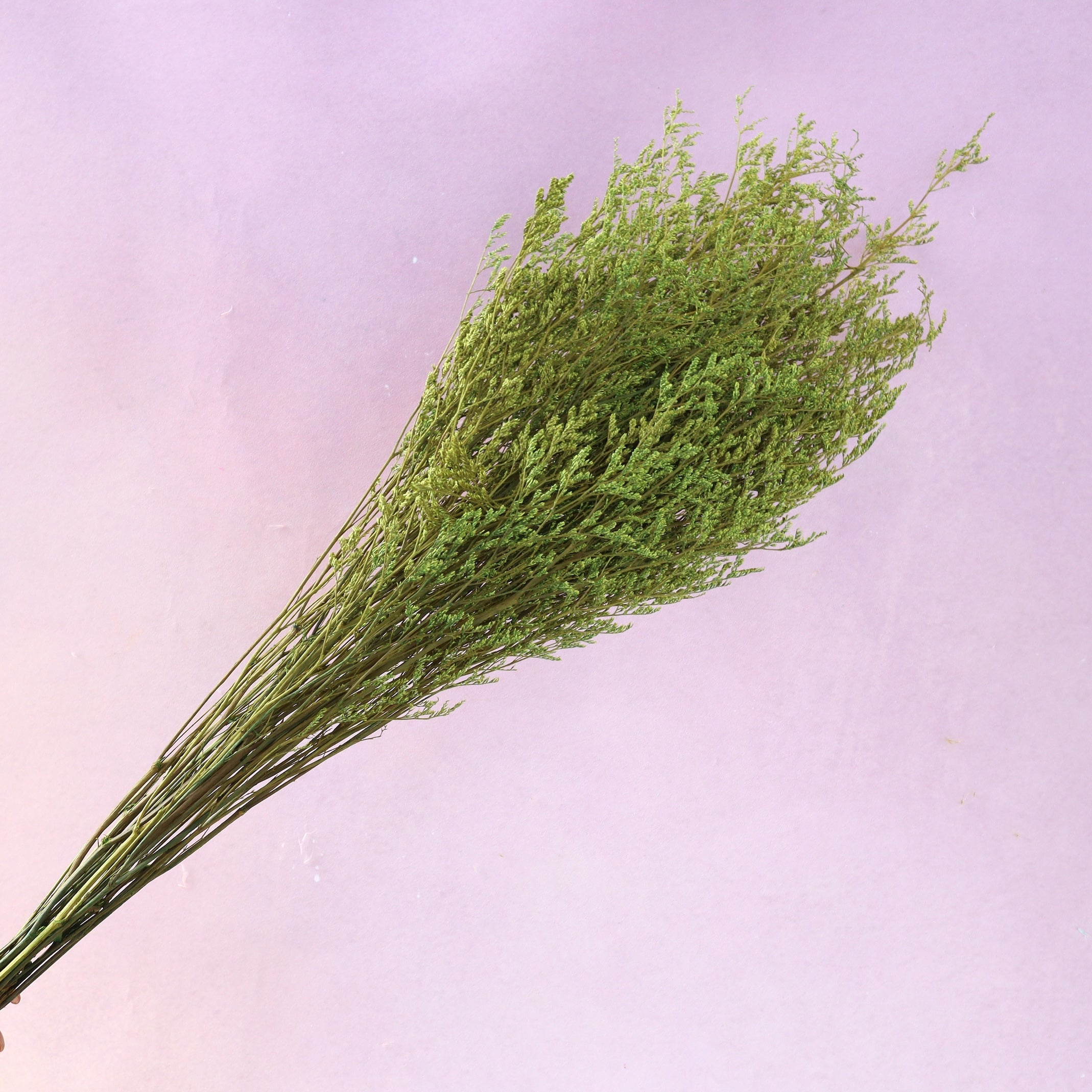 Misty Fern Green – Floral Forest Wholesale