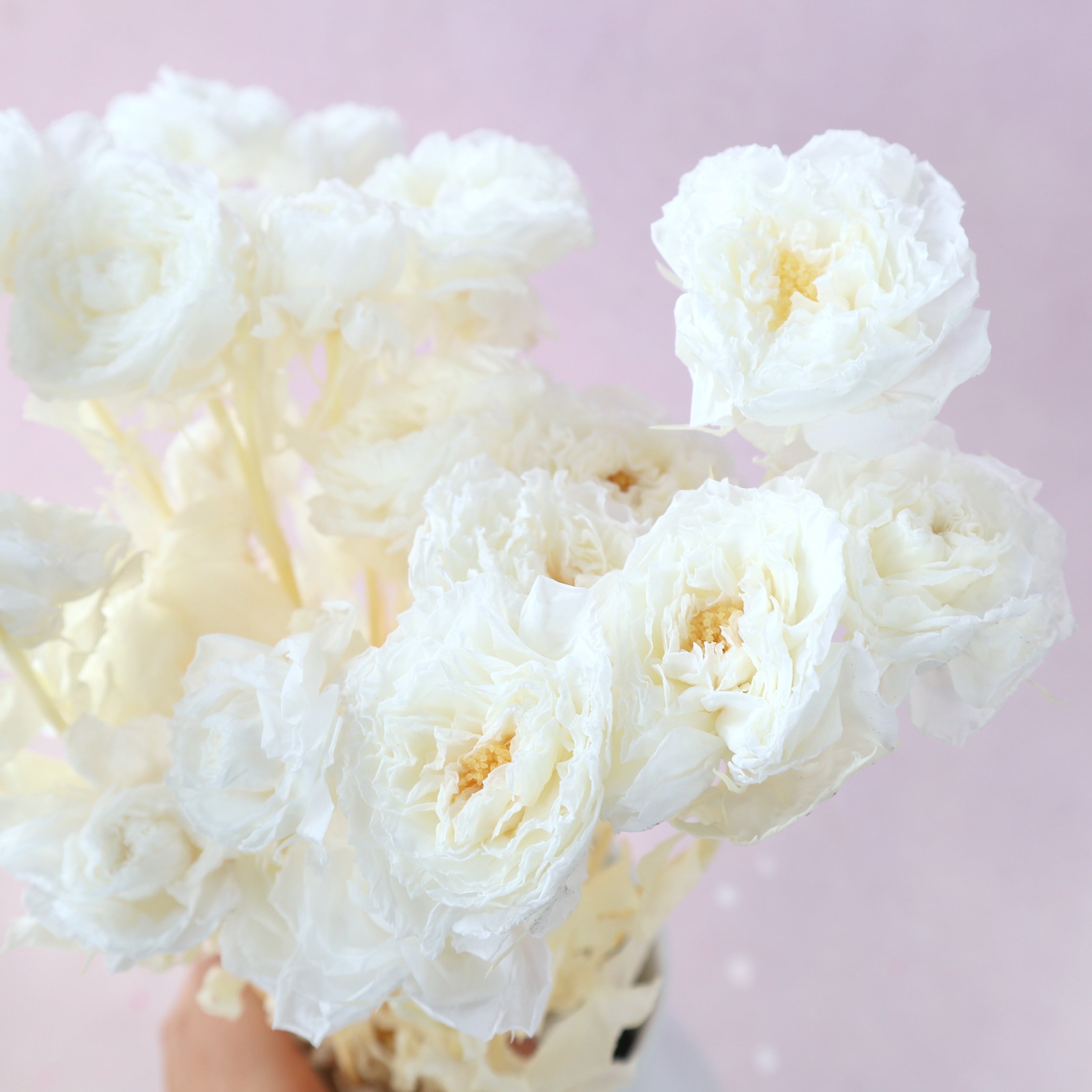 Bleached White Austin Rose Bunch