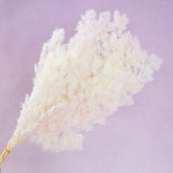 Ming Fern Ombre Pale Pink (clearance)