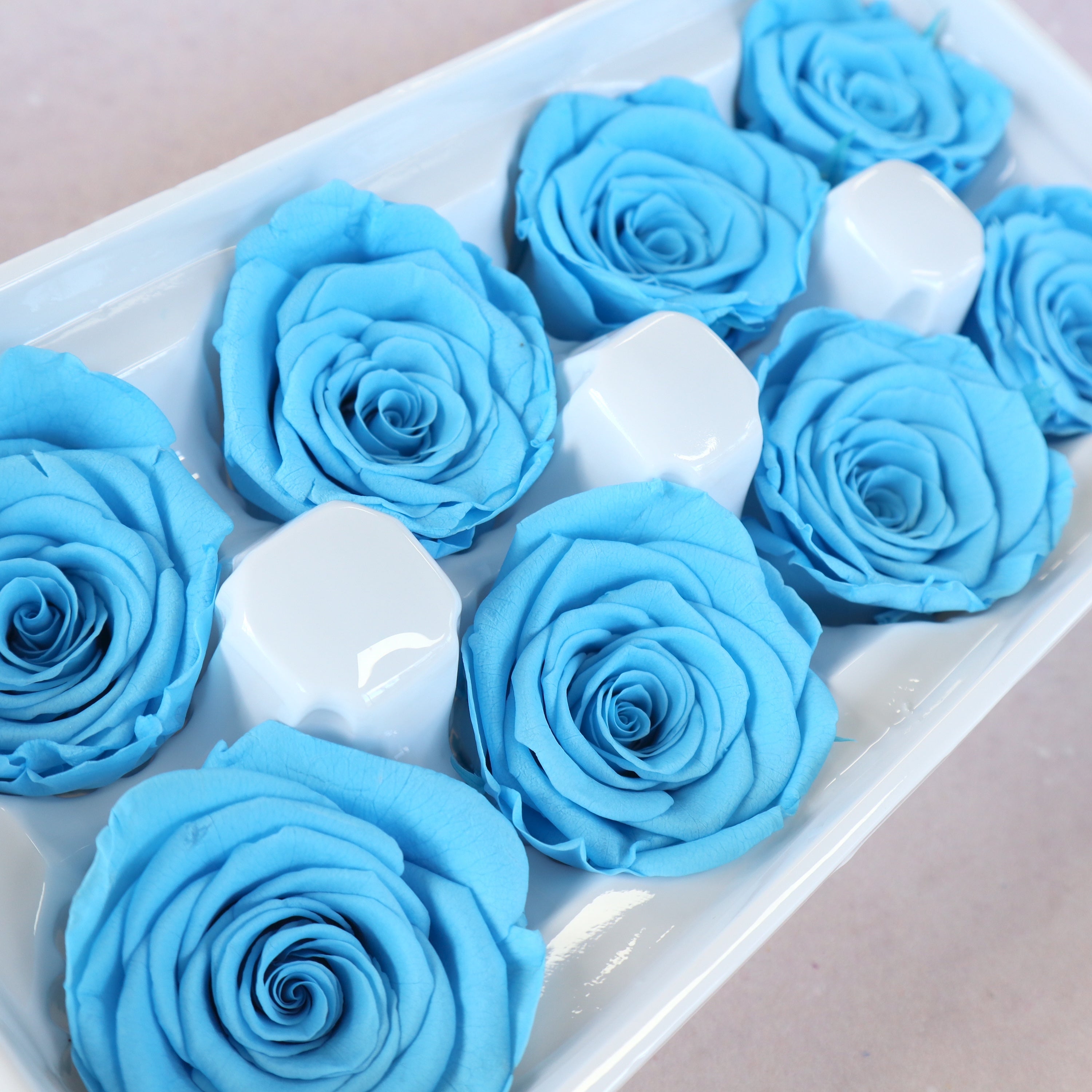 Rose Sky Blue 8 heads